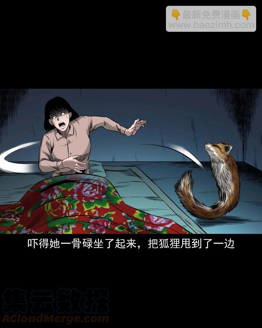 545 狐狸围脖42