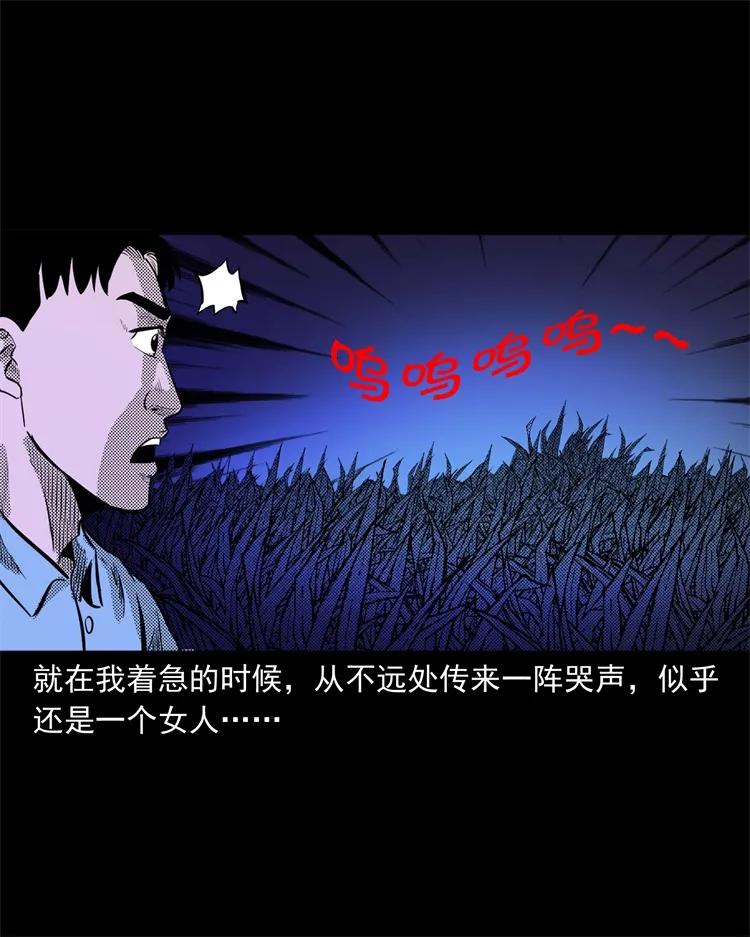 262 鬼剃头19