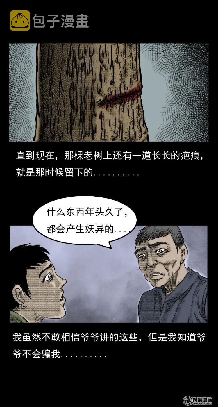 29 古树16