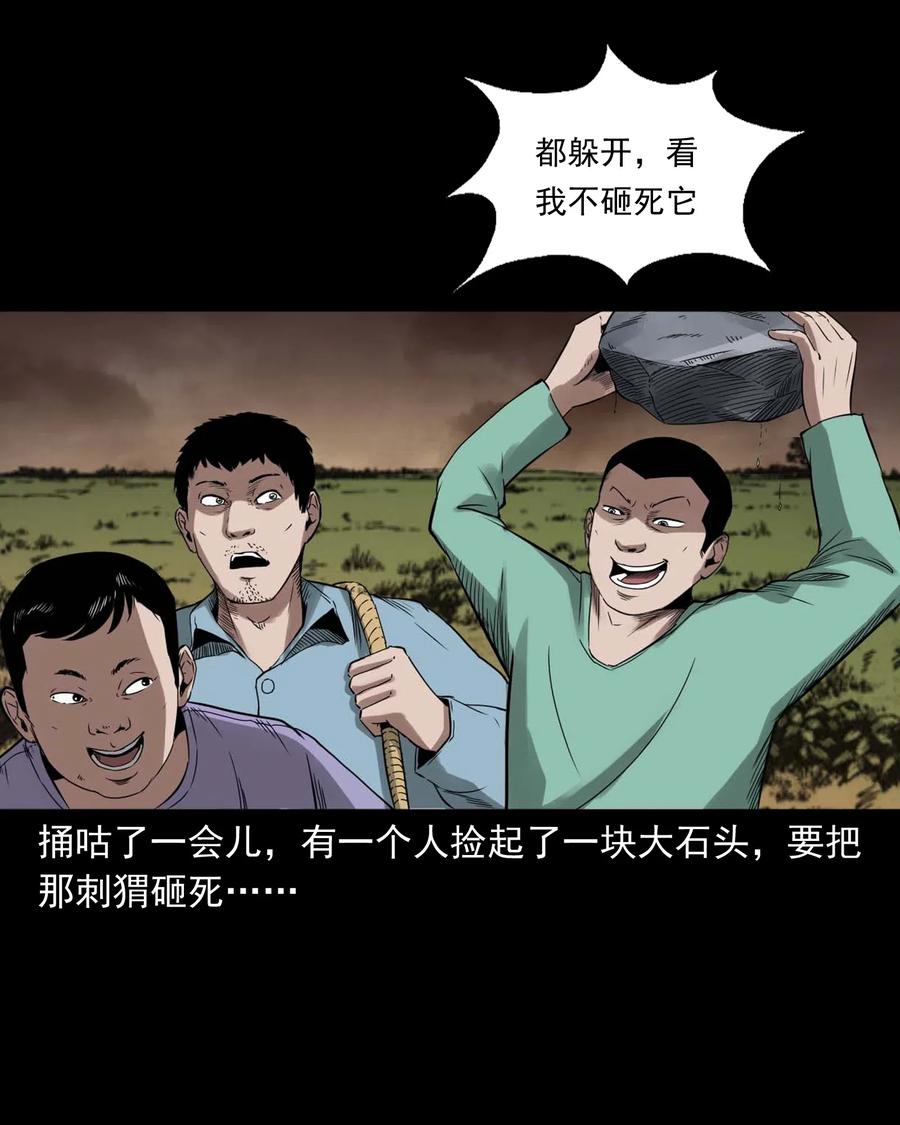 444 白神医17