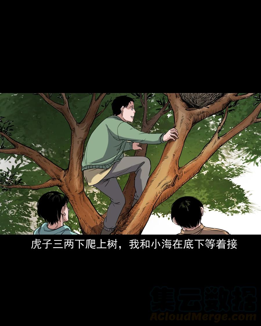 344 梦中诡事4