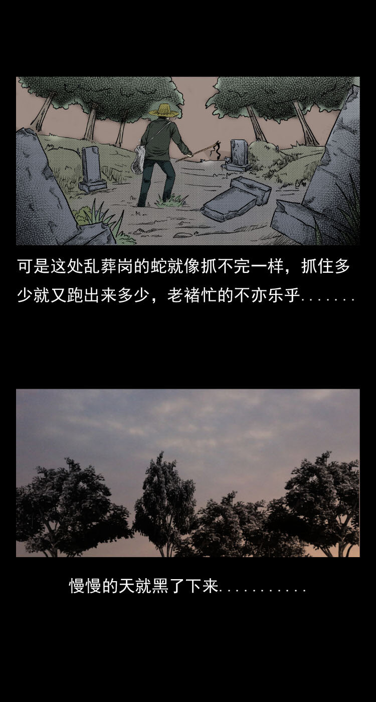 5 活蛇酒11