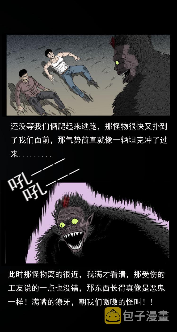 10 青藏铁路怪物事件26