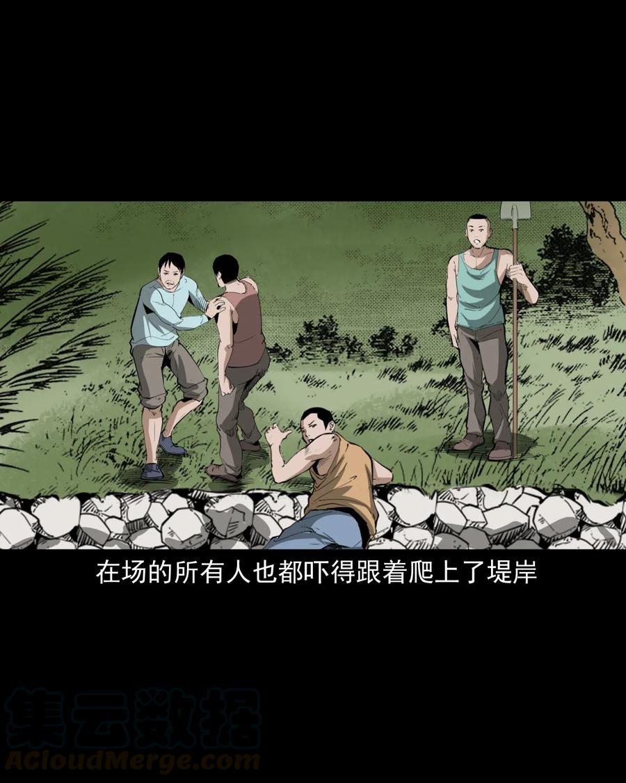 493 大王八9