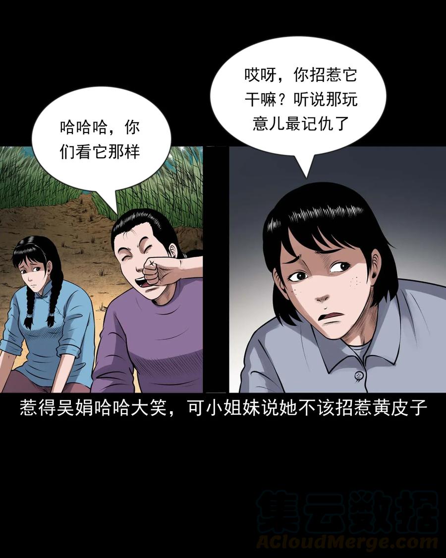 427 老烟鬼5252