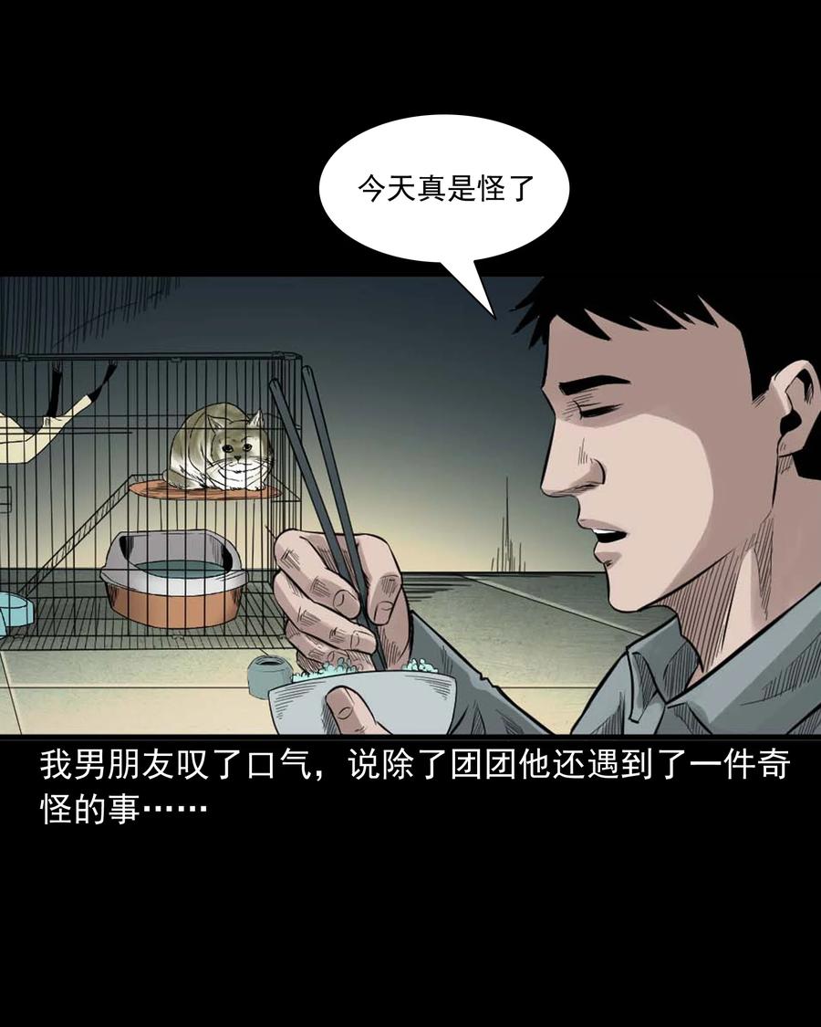 511 猫看见了什么19