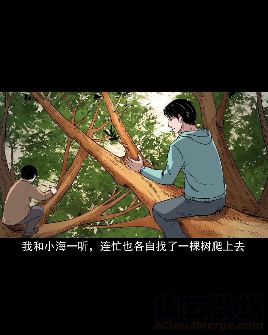 344 梦中诡事8