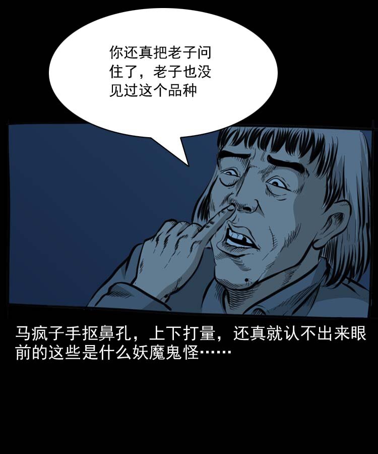 特别篇 万圣节特辑16