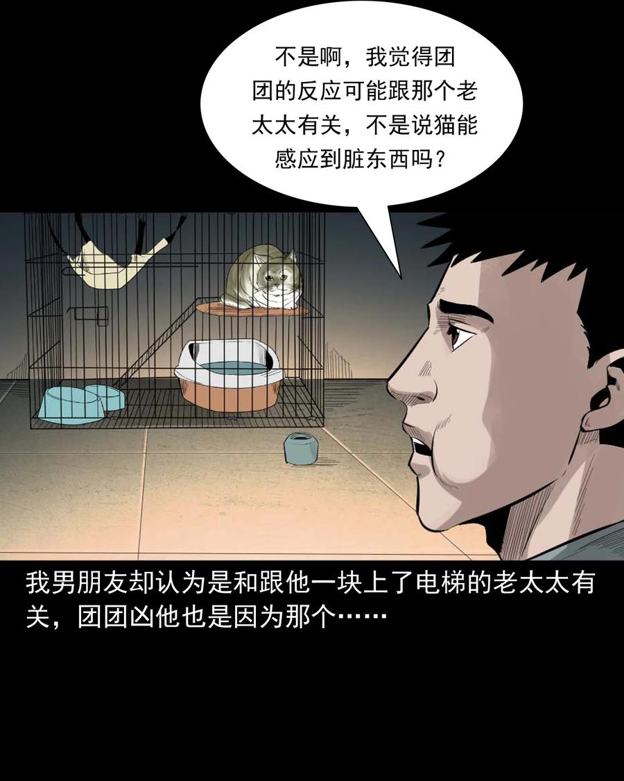 511 猫看见了什么35
