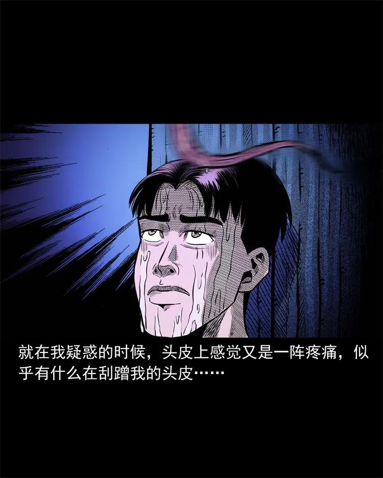 262 鬼剃头47