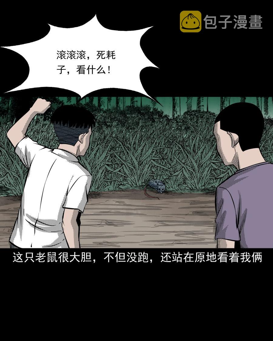 282 老鼠成仙7