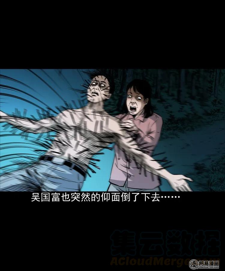 168 刺猬52