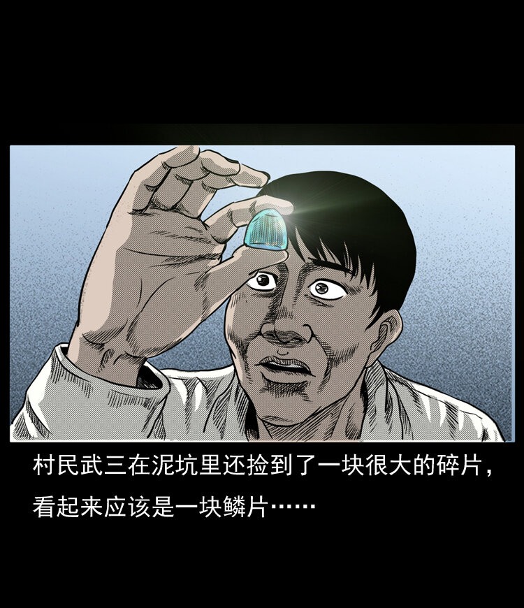 20 坠龙78