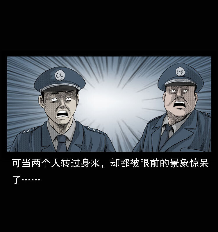 15 空中怪车事件32