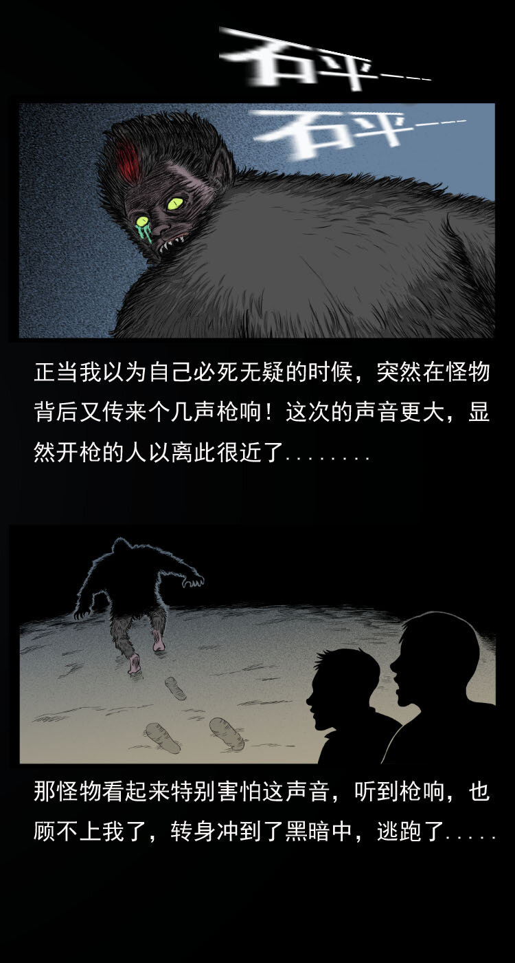 10 青藏铁路怪物事件31
