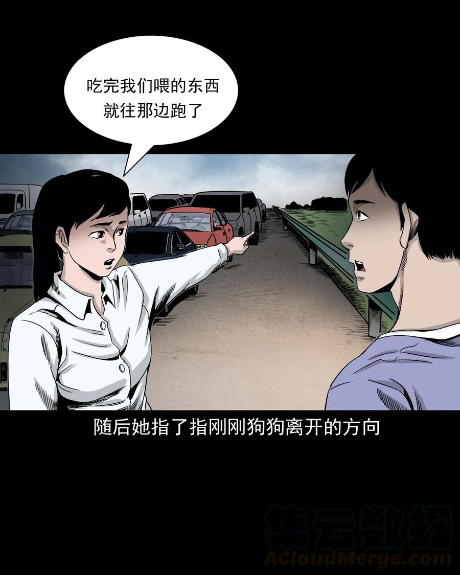 412 找狗人36