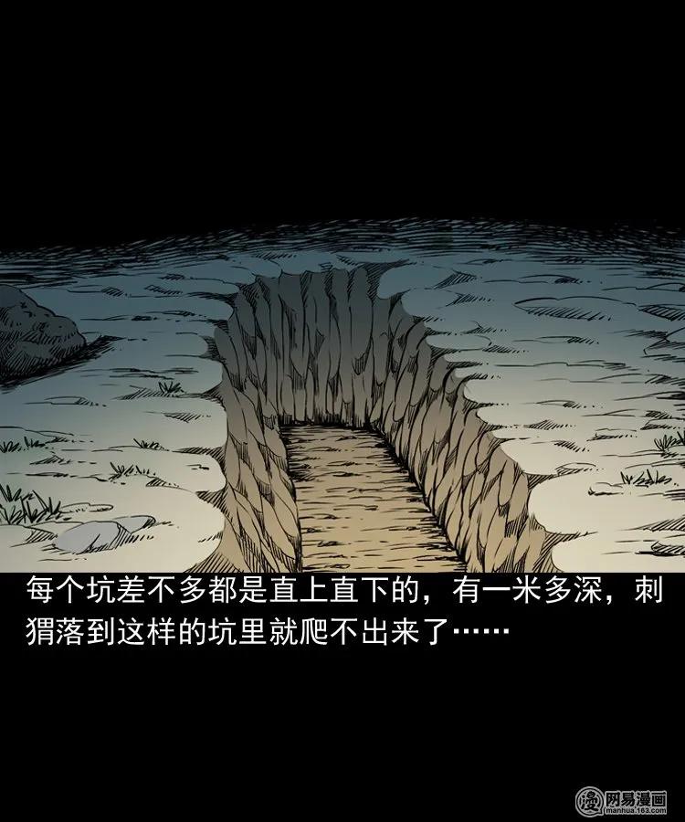 168 刺猬5