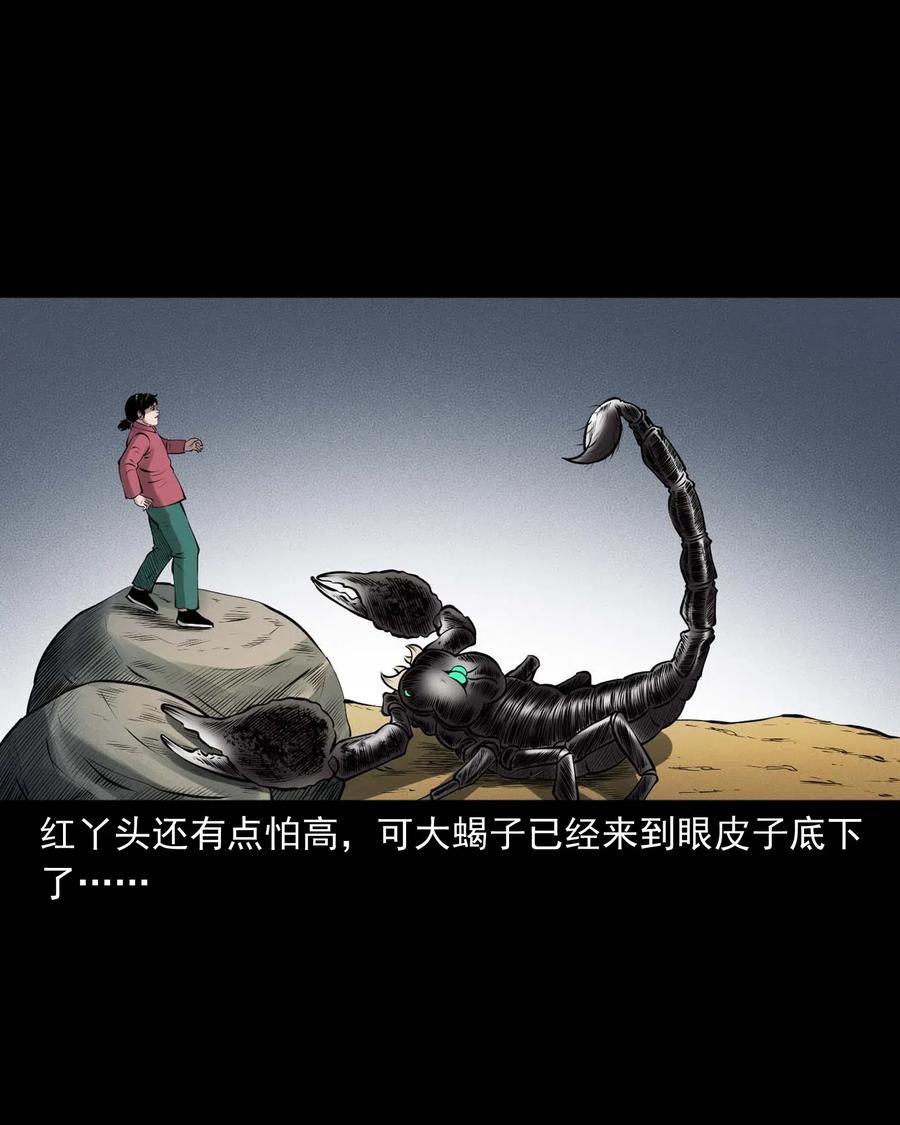 455 老烟鬼6642
