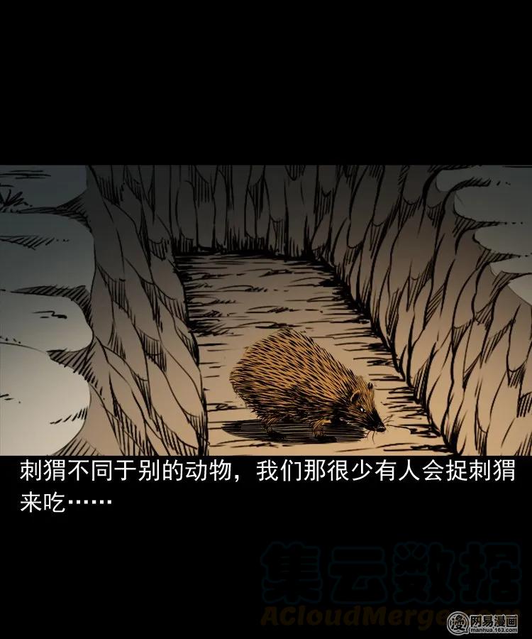 168 刺猬8