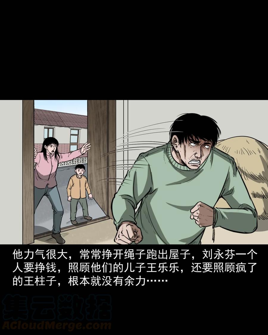 313 疯病28
