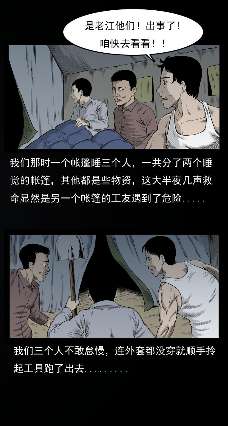 10 青藏铁路怪物事件4