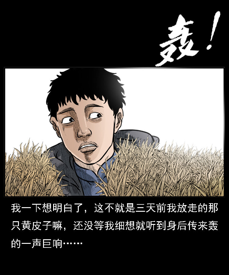 22 黄皮子报恩49