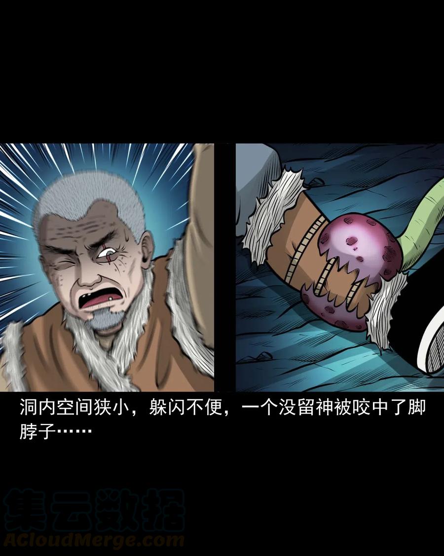 494 老烟鬼8515
