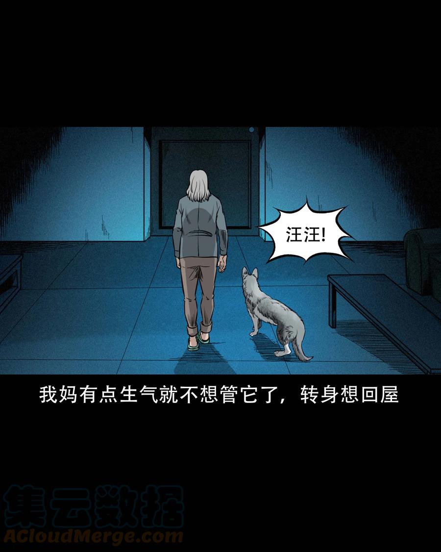 574 深夜访客18