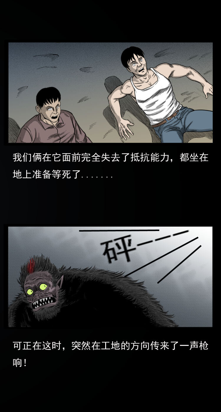 10 青藏铁路怪物事件27