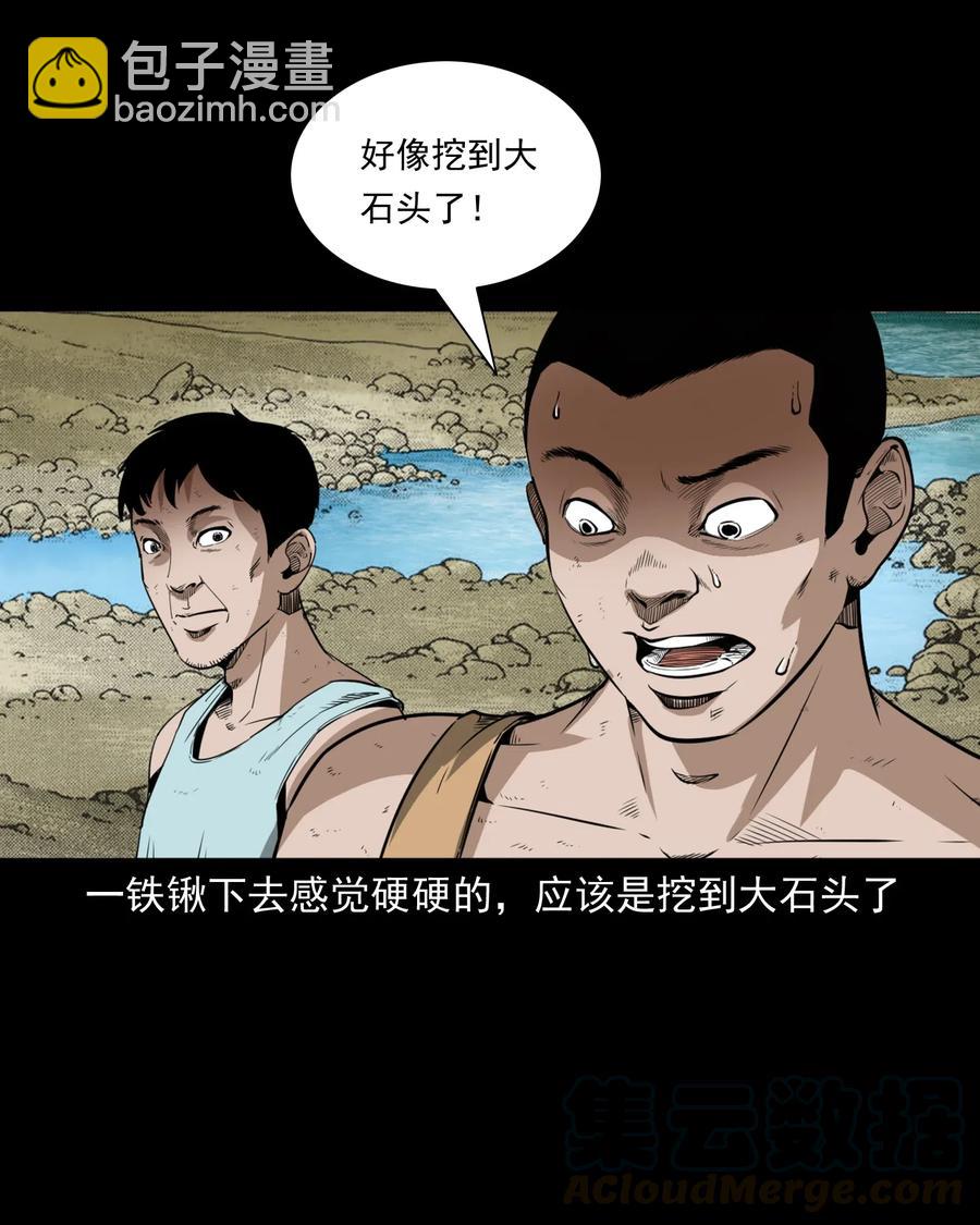 493 大王八3