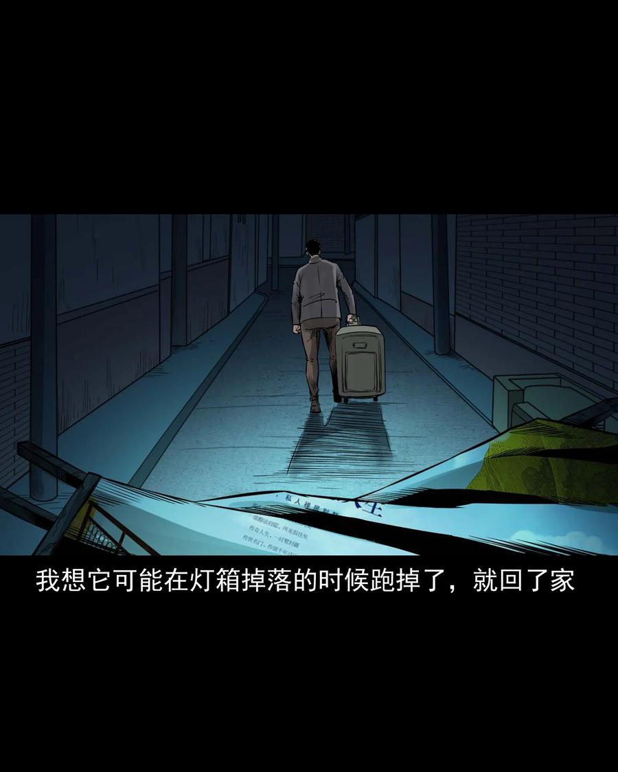 539 犬灵31