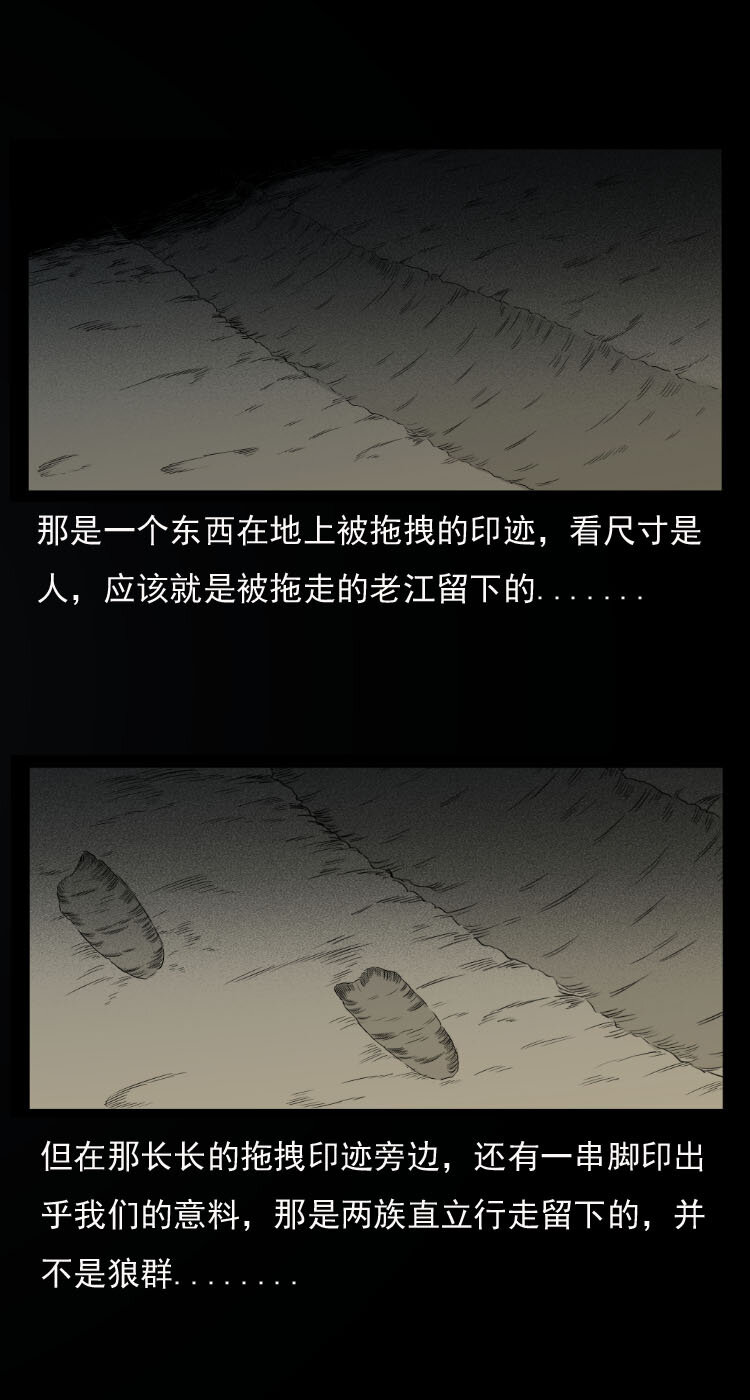10 青藏铁路怪物事件14