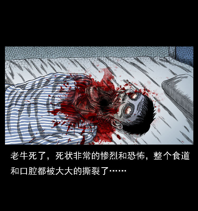 18 寄生物64