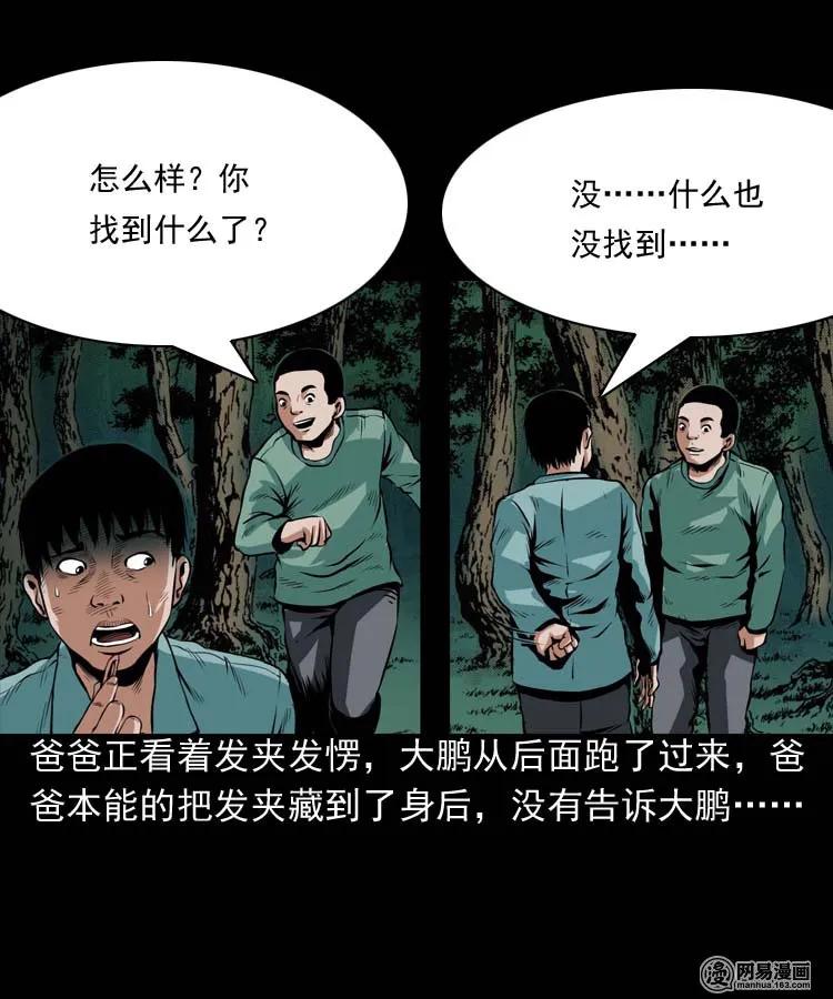 178 发夹18