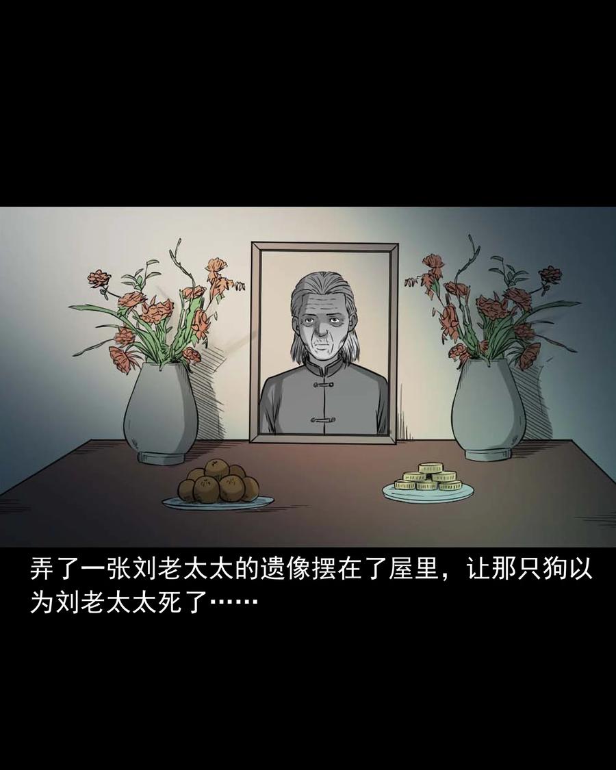 509 狗命33