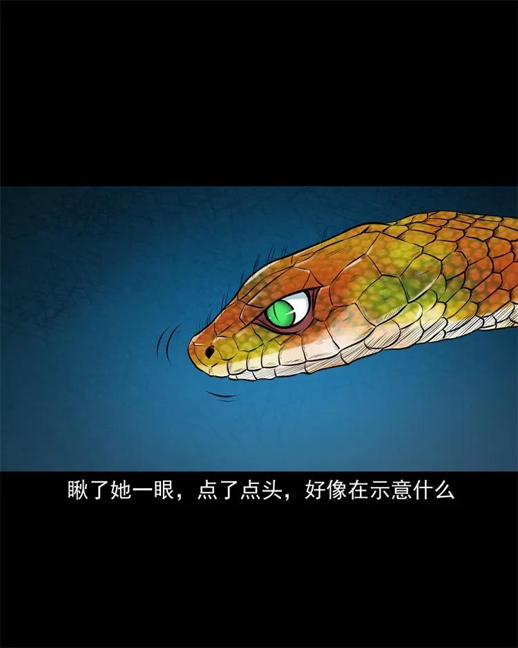 270 善报39