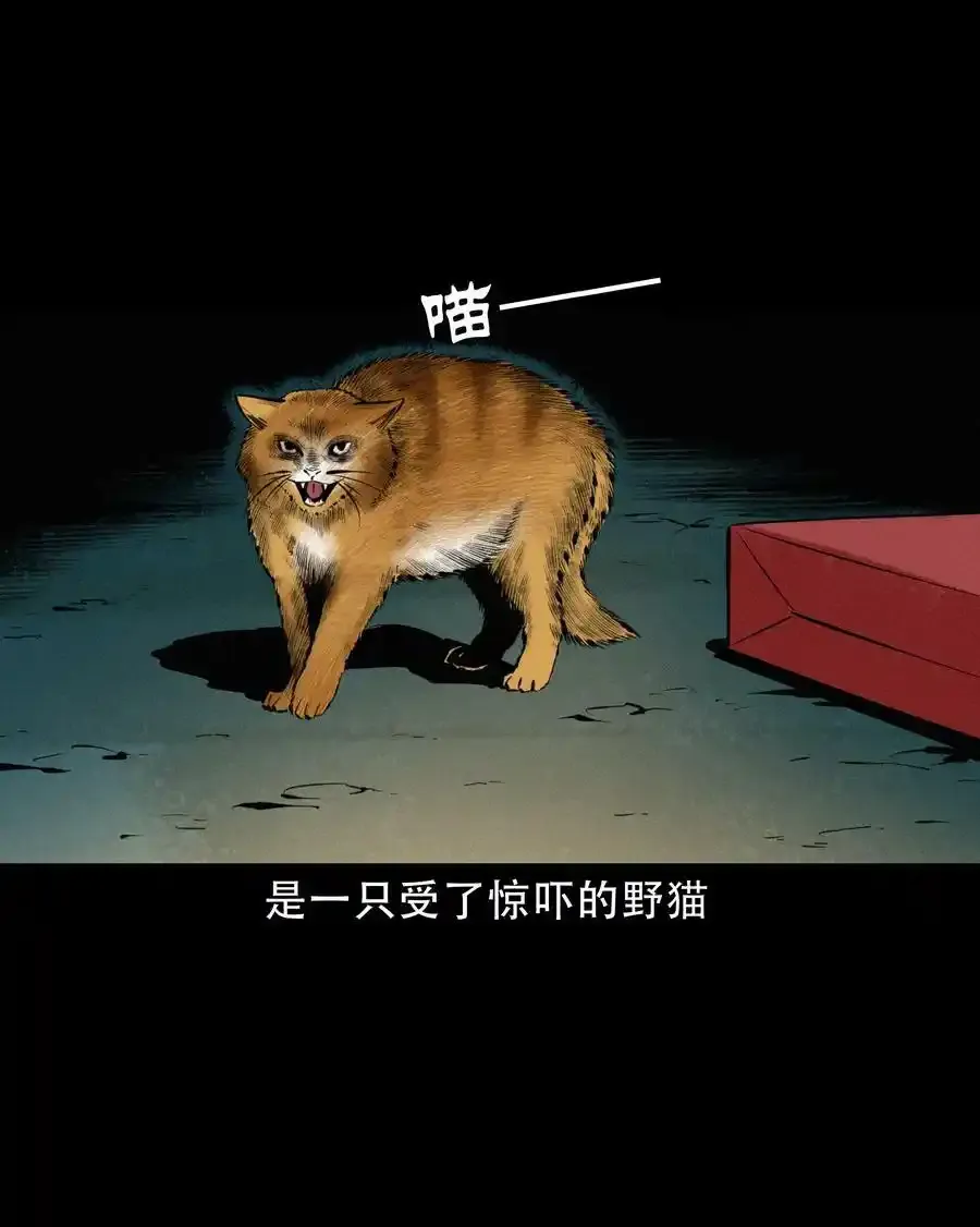 624 我看见了我自己11