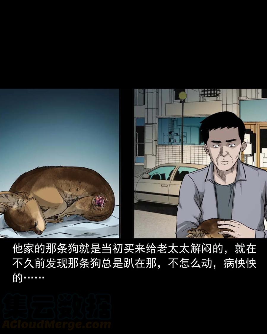 509 狗命22