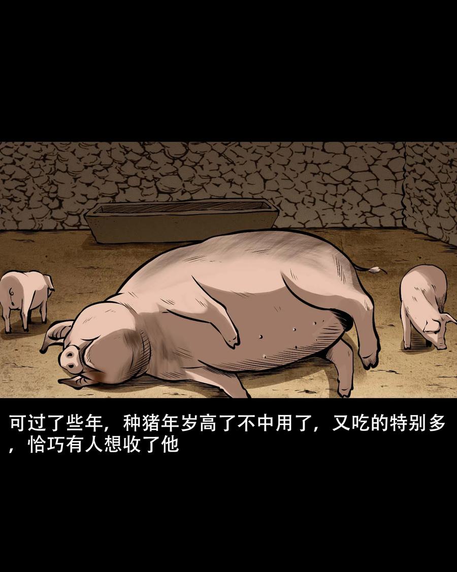 559 老烟鬼116话61