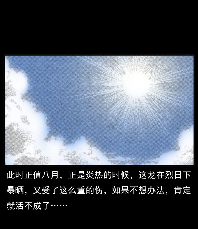 20 坠龙62