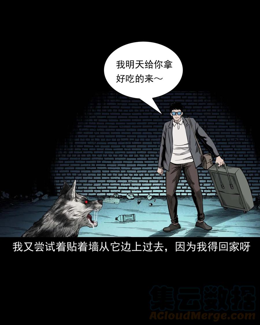 539 犬灵24