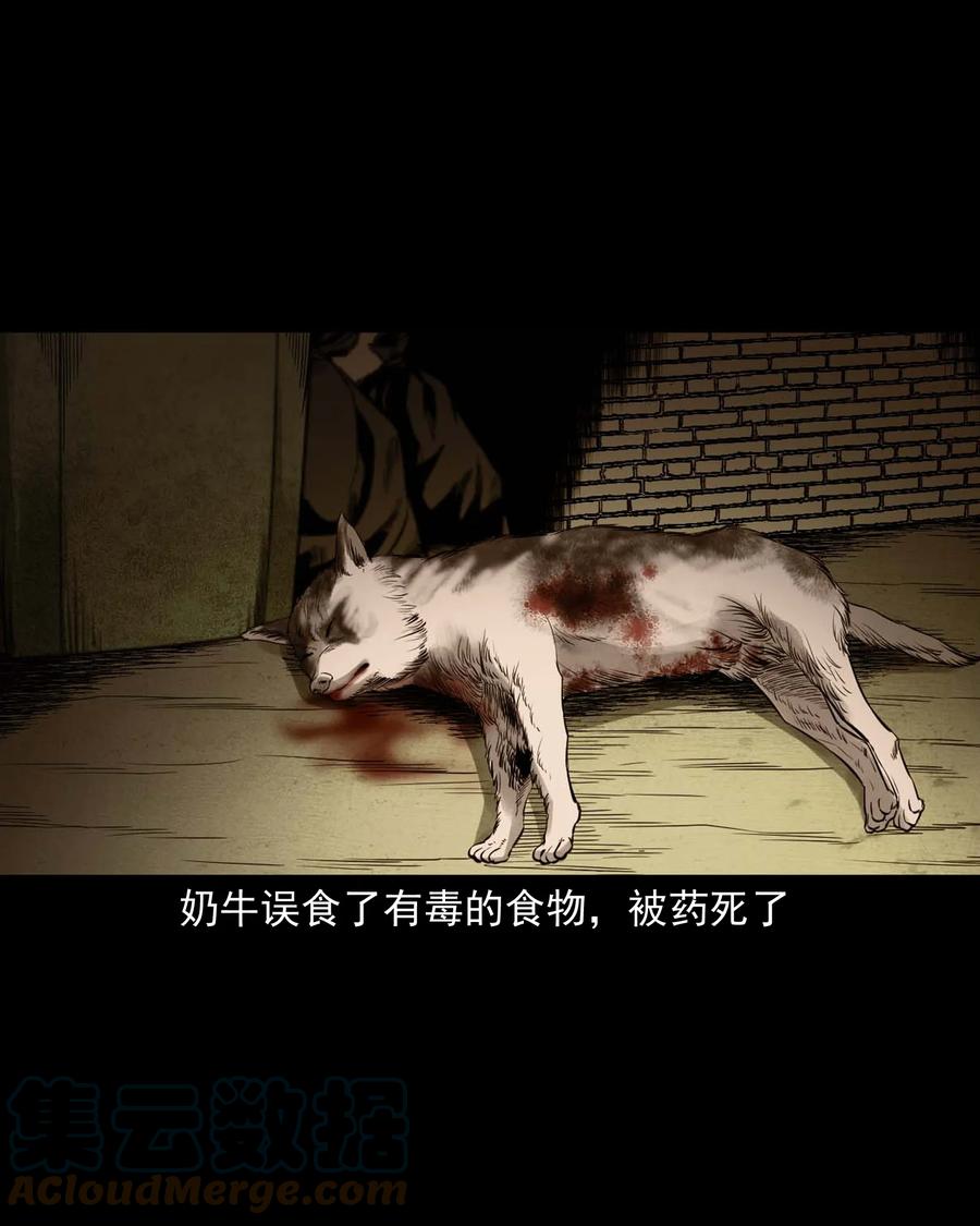 539 犬灵36
