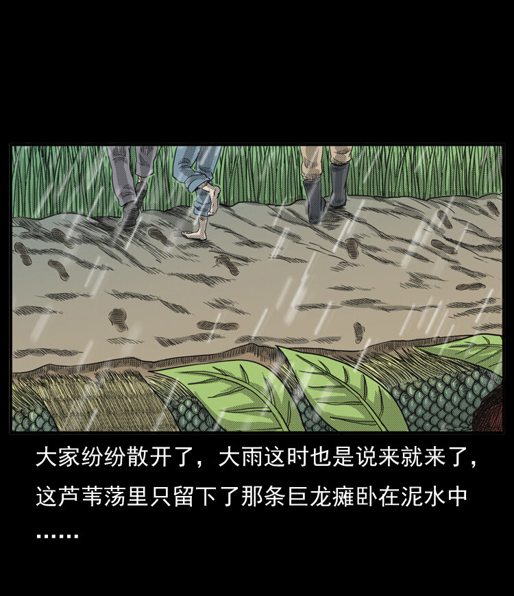 20 坠龙71