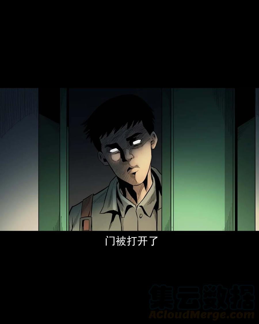 511 猫看见了什么15