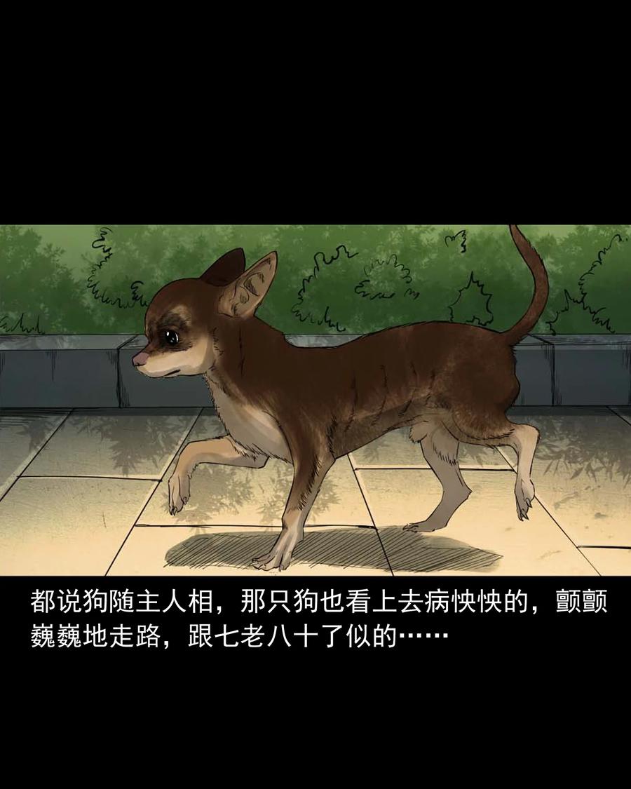 509 狗命7