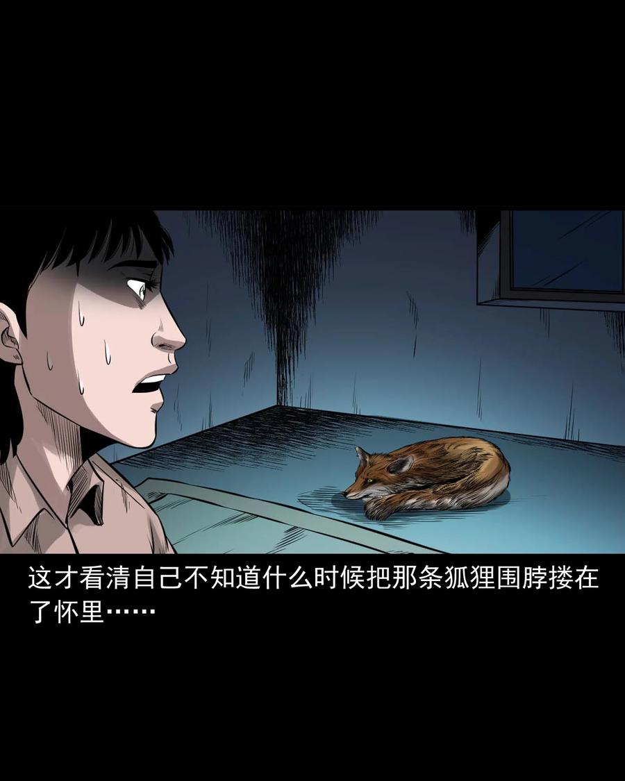 545 狐狸围脖43