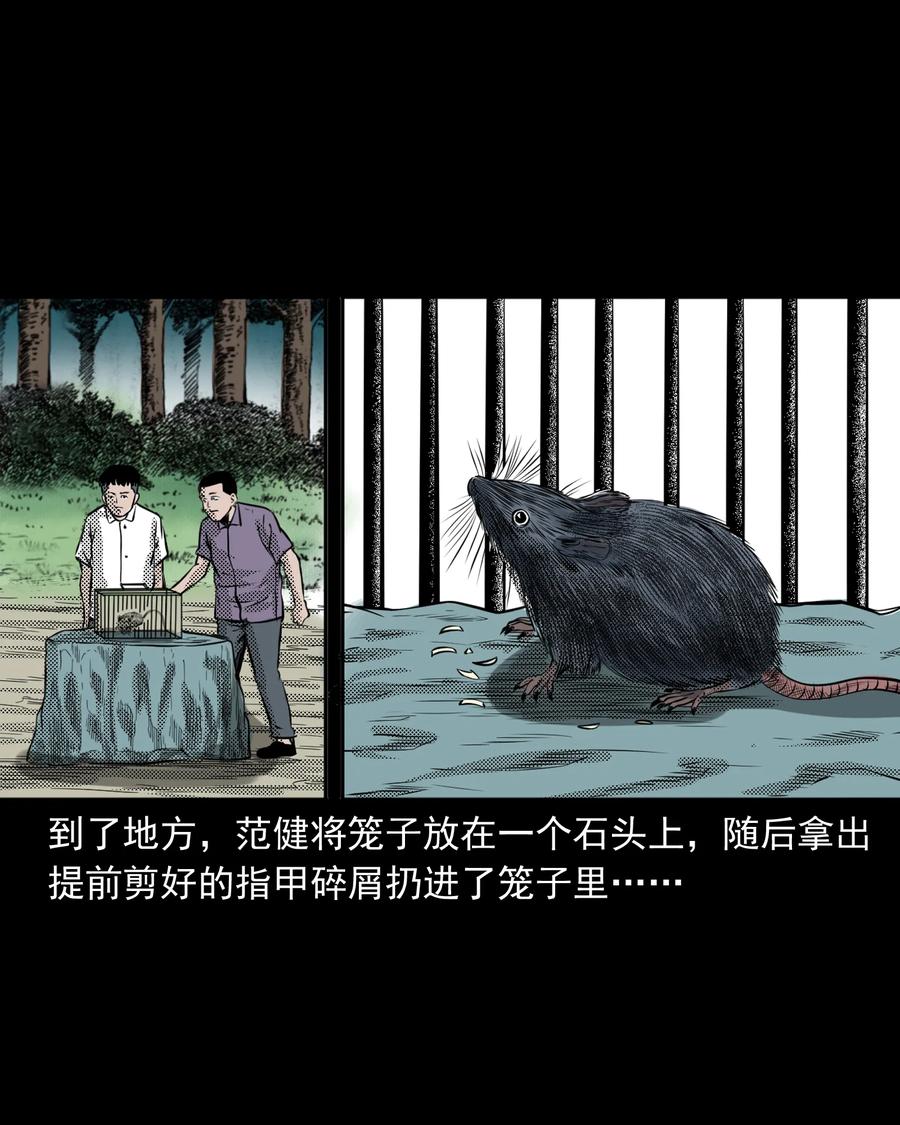 282 老鼠成仙47