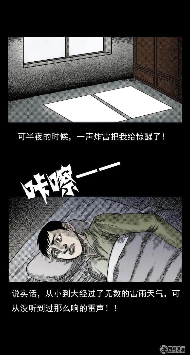 29 古树20