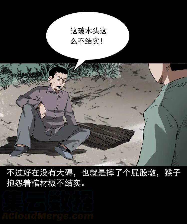 341 本命年撞煞48