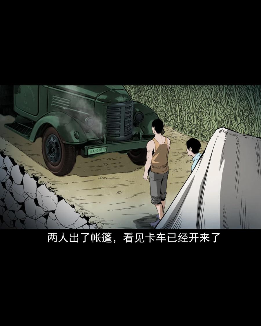 493 大王八32